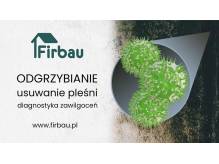 ox_odgrzybianie-budynkow-usuwanie-plesni-diagnostyka