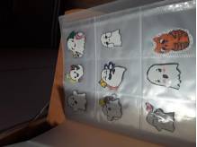 20201104_115048.jpg