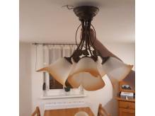 ox_lampa