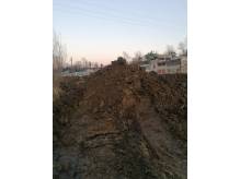 ox_ziemia-za-darmo