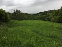 ox_duza-dzialka-rolna-w-cieszynie-na-pastwiskach