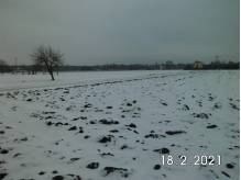 ox_zaborze-widokowa-dzialka-na-sprzedaz