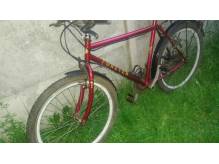 ox_rower-kola-26