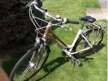 ox_rower-trek