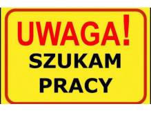 ox_szukam-pracy