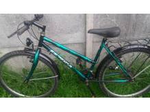 ox_rower-kola-26