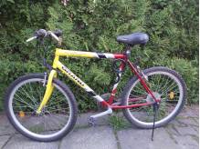 ox_sprzedam-tanio-rower