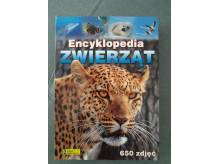 ox_encyklopedia-zwierzat