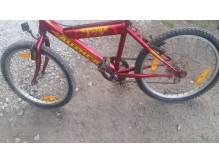 ox_rower-kola-20
