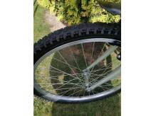 ox_rower-kola-24