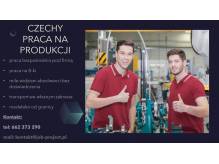 ox_czechy-praca-od-razu-pod-firma-mile-widziani-absolwenci