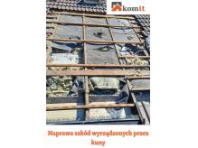 ox_naprawianie-szkod-wyrzadzonych-przez-kuny