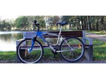 ox_rower-merida-500