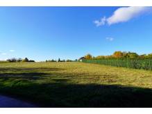 ox_dzialka-rolno-budowlana-28-ar-w-konczycach-wielkich