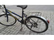 ox_rower-kola-26