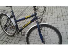 ox_rower-kola-26