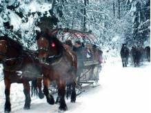 ox_sobota-2201-1700-wolne-sanie-na-kulig-z-pochodniami-wisla