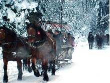 ox_sobota-2901-1800-wolne-sanie-na-kulig-z-pochodniami-wisla