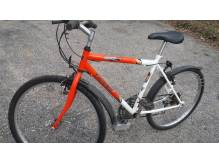 ox_rower-kola-26
