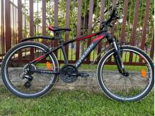 ox_rower-kross-24-cale