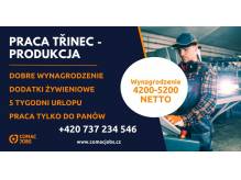 ox_produkcja-w-trzyncu-od-zaraz