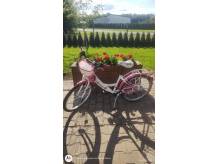 ox_rower-dziewczecy-laguna