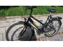 ox_rower-kola-26