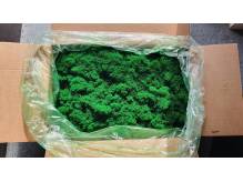 ox_mech-chrobotek-4kg-finlandia-srednia-zielen