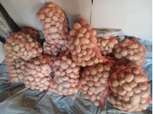 ox_ziemniaki-odm-gala-prosto-od-rol-dowoz-gratis-przy-zakupie-150-kg