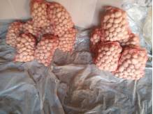 ox_ziemniaki-gala-bardzo-smaczne-prosto-od-rolnika-pakowane-po-15-kg