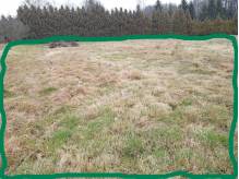 ox_dzialki-budowlane-2-szt-kazda-10-ar-z-bliskimi-mediamina-terenie