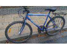 ox_rower-kola-26