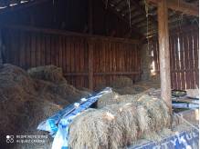 ox_siano-i-sloma-za-darmo