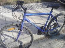 ox_rower-kola-26