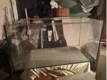 img-20230305-180103.jpeg