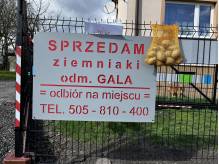ox_ziemniaki-jadalne-odm-gala-prosto-od-rolnika-mozliwy-transport