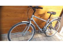 ox_rower-kola-28