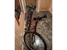 ox_rower-26-cali