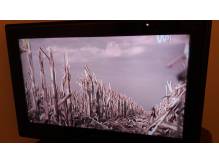 ox_telewizor-lg-32-cale