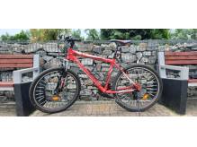 ox_rower-kross-hexagon-x1-26