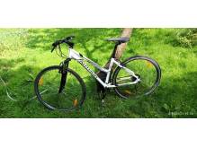 ox_sprzedam-rower-damski-author-enigma