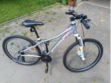 img-20230617-133245.jpeg