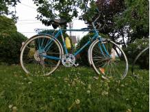ox_romet-wagant