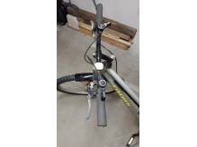 ox_rower-26cali-kola