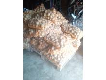 ox_bdb-ziemniaki-jadalne-odm-gala-z-transportem-w-cenie-zakupu