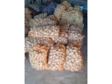 ox_ziemniaki-jadalne-bdb-odm-queen-anne-juz-sa-na-zime-polecam