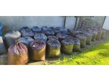 ox_trociny-bukowe-w-workach