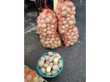ox_ziemniaki-jadalne-bdb-odm-gala-juz-na-zime-prosto-z-gospodarstwa