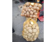 ox_ziemniaki-jadalne-swojskie-odm-gala-na-zime-prosto-z-gospodarstwa