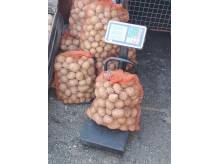 ox_ziemniaki-na-zime-bdb-odm-gala-jeszcze-12-workow-po-15-kg
